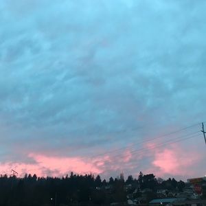 Meet your Posher, Maddy